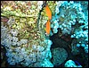 IMG_4041.JPG