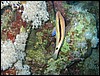 IMG_4043.JPG