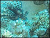 IMG_4052.JPG