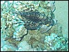 IMG_4053.JPG