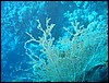 IMG_4055.JPG