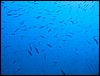 IMG_4059.JPG