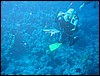 IMG_4063.JPG