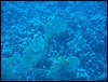 IMG_4070.JPG