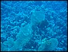 IMG_4071.JPG