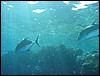 IMG_4075.JPG