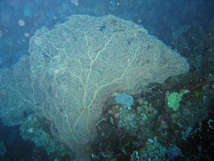 IMG_4096.JPG