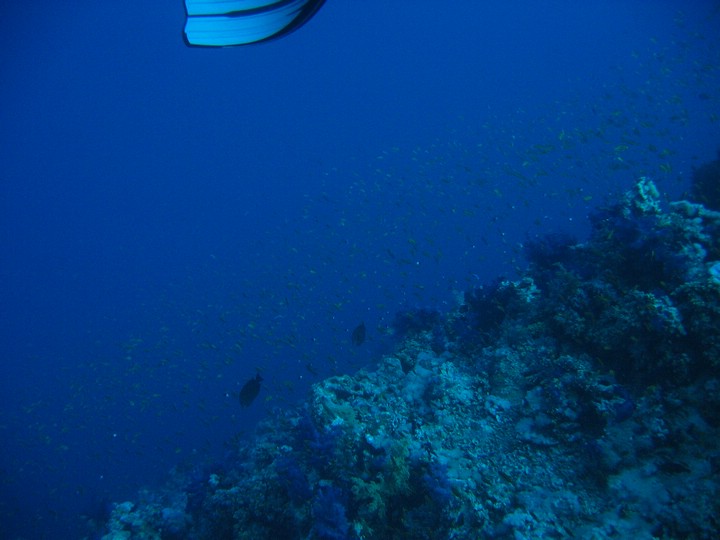 IMG_4097.JPG
