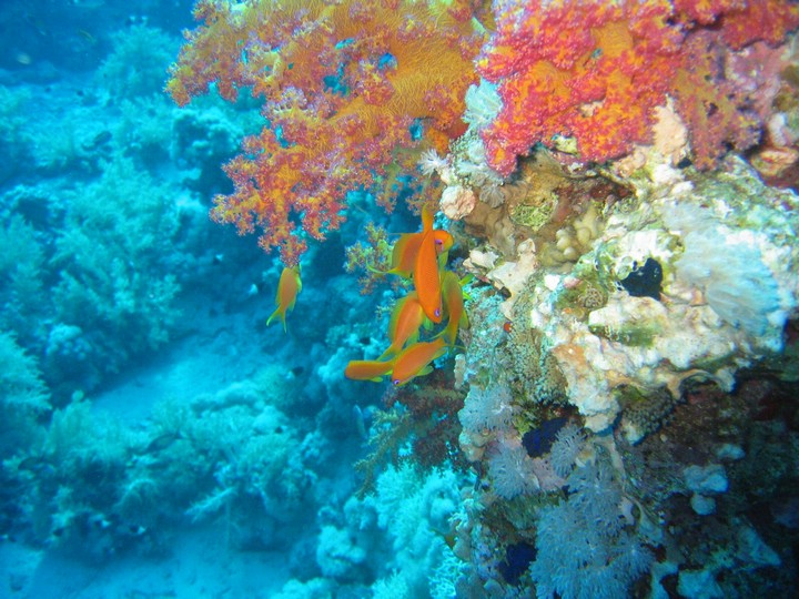 IMG_4115.JPG
