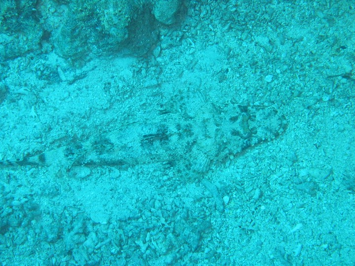 IMG_4128.JPG