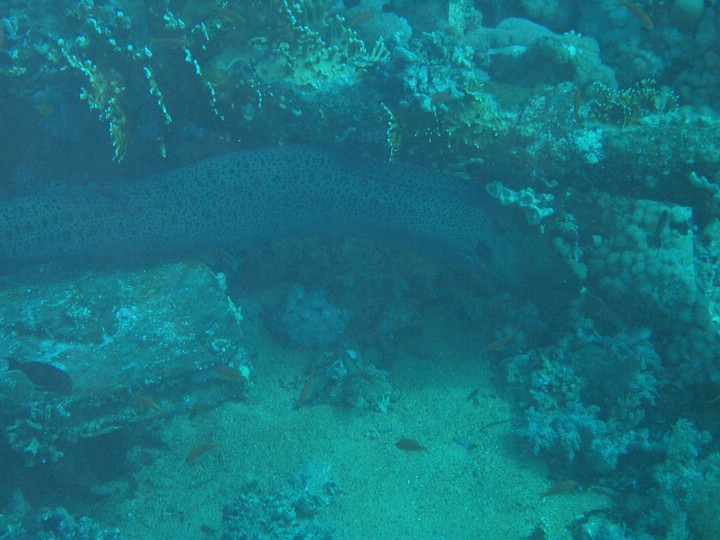 IMG_4140.JPG
