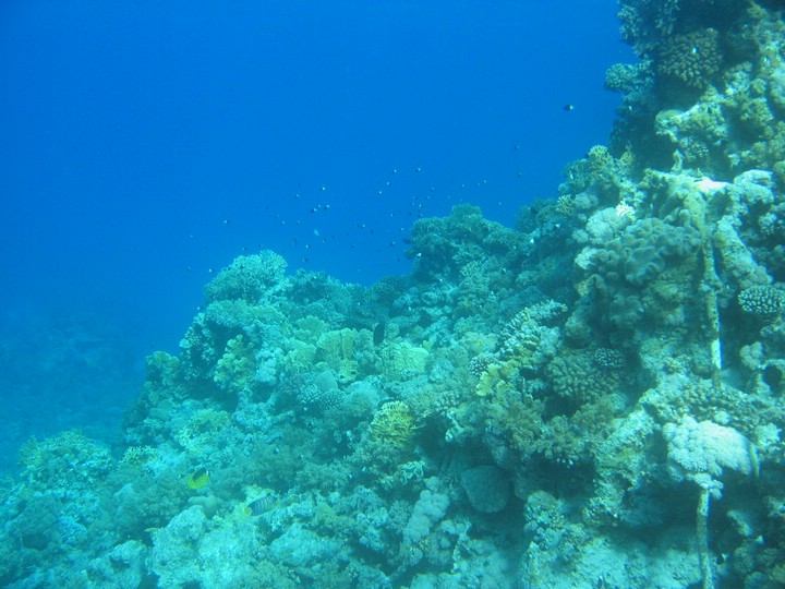 IMG_4151.JPG