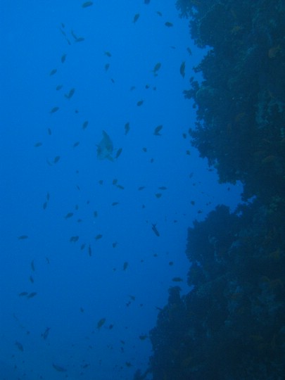 IMG_4154.JPG