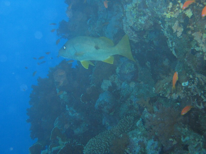IMG_4155.JPG