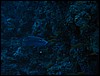 IMG_4087.JPG