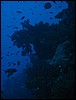 IMG_4093.JPG
