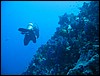 IMG_4098.JPG