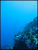 IMG_4099.JPG
