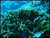 IMG_4102.JPG