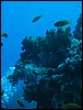 IMG_4114.JPG