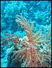 IMG_4116.JPG