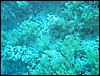 IMG_4117.JPG