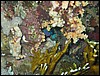 IMG_4118.JPG
