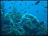 IMG_4121.JPG