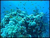 IMG_4124.JPG