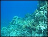 IMG_4151.JPG