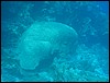 IMG_4152.JPG