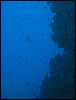 IMG_4154.JPG