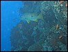 IMG_4155.JPG