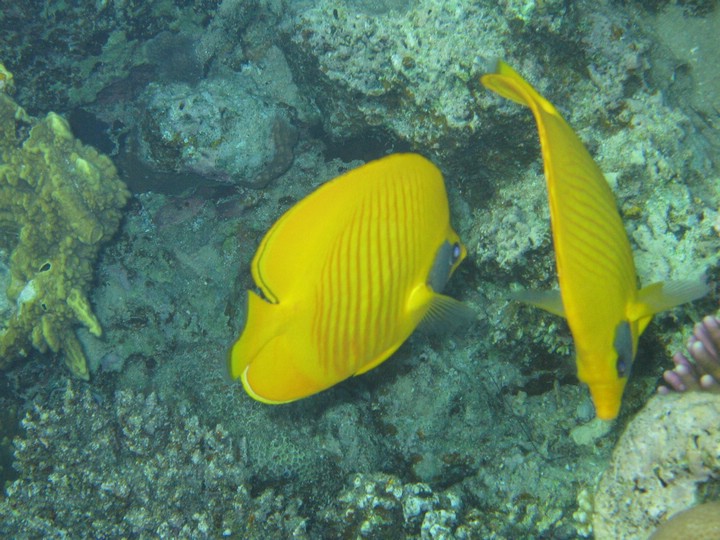 IMG_4169.JPG