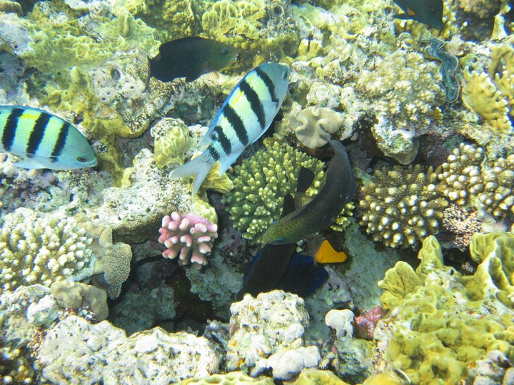 IMG_4172.JPG
