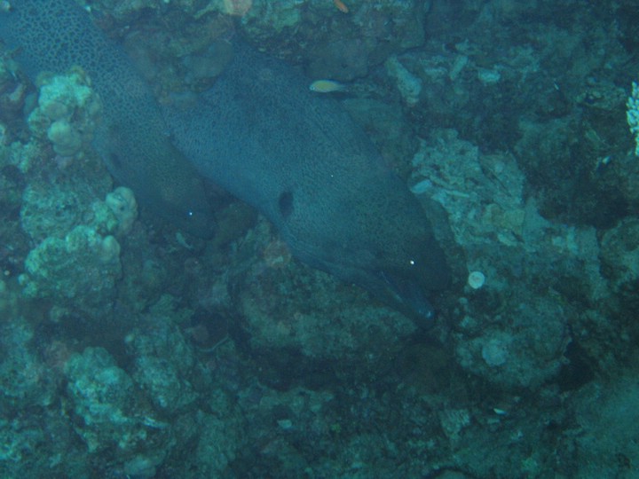 IMG_4176.JPG