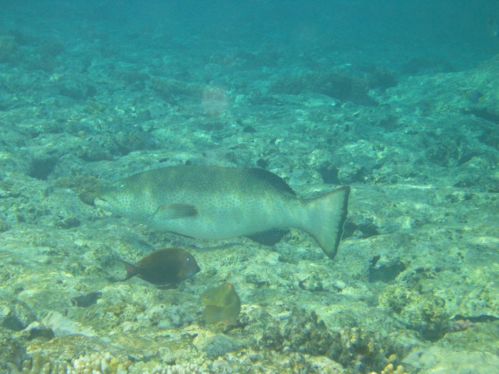 IMG_4191.JPG