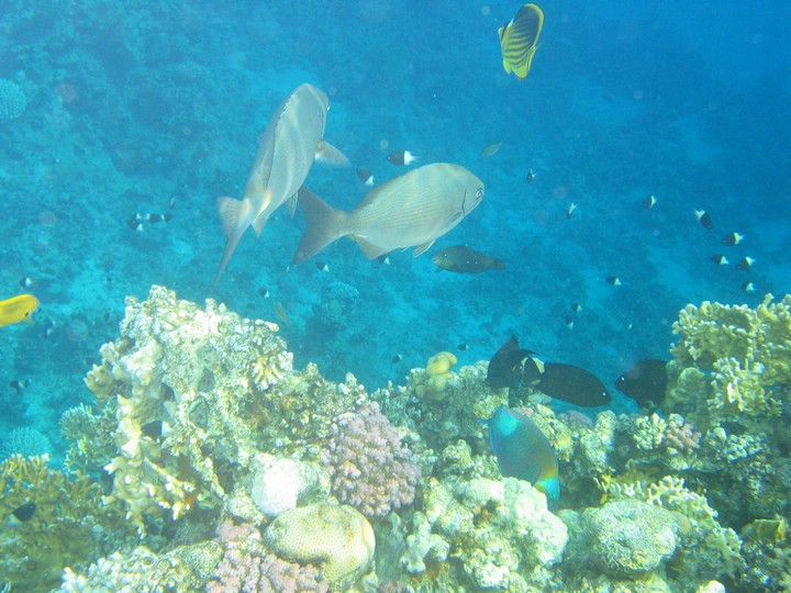 IMG_4195.JPG
