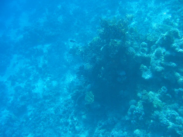 IMG_4201.JPG