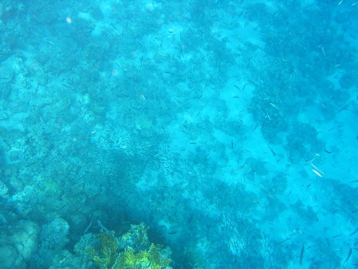 IMG_4204.JPG