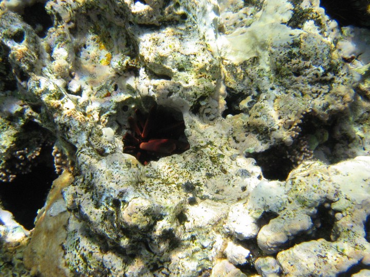 IMG_4205.JPG