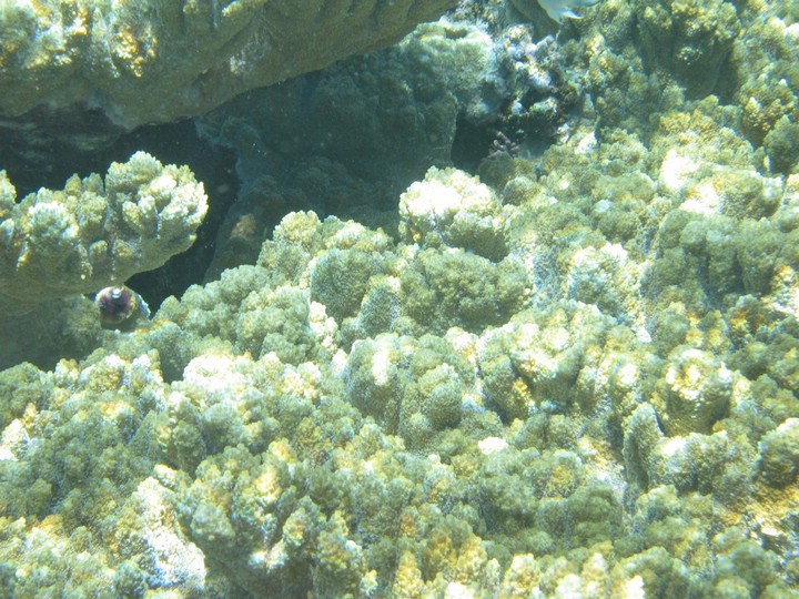 IMG_4210.JPG