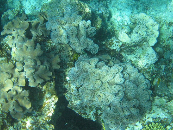 IMG_4215.JPG