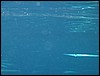 IMG_4163.JPG
