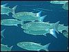 IMG_4166.JPG