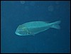 IMG_4168.JPG