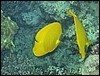 IMG_4169.JPG
