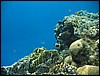 IMG_4173.JPG