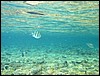 IMG_4180.JPG