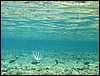 IMG_4181.JPG